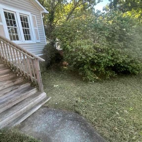 Bush Trimming by SLC Groundskeepers reviewed on November 24, 2025