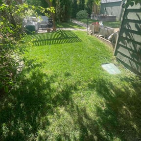 yard work by Frederickson Lawn Management reviewed on August 21, 2025