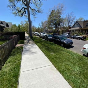yard work by Fazal Management Group LLC reviewed on August 18, 2025