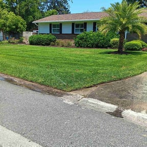 gardening service by M&M-Lawncare reviewed on August 17, 2025