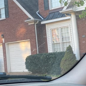 Bush Trimming by Inspo Lawncare reviewed on August 18, 2025