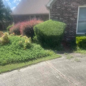 Bush Trimming by 3GUYSLAWNCARE reviewed on August 20, 2025