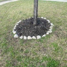 Flower Bed Weeding by Mountain View Landscape and Design LLC reviewed on March 9, 2026