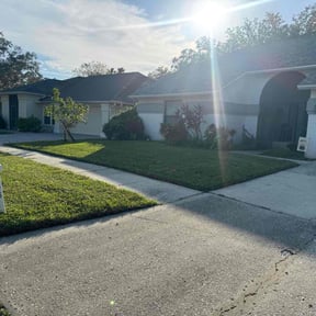 yard maintenance by Cutting up Lawn and Tree Care reviewed on August 18, 2025