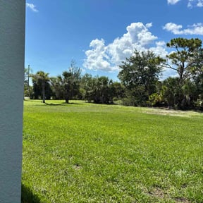 yard care by Krahns Lawn Services reviewed on August 21, 2025