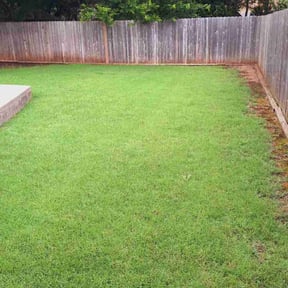 residential landscaping by First Call Lawn &amp; Haul reviewed on June 21, 2022