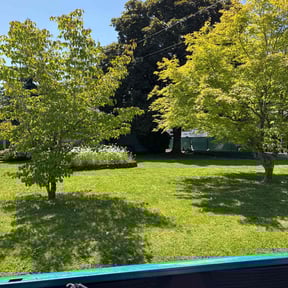 residential landscaping by Best Local Lawn Service LLC reviewed on August 18, 2025