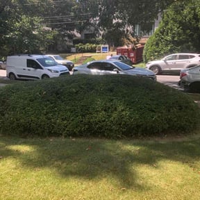 Bush Trimming by 11 lawns reviewed on November 18, 2025