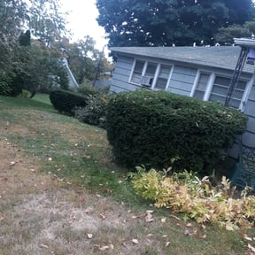 Bush Trimming by SAN ANTONIO LAWNS LLC reviewed on August 19, 2025
