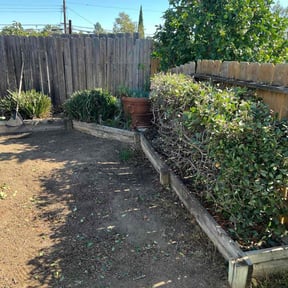 turf maintenance by Stand lawn care Services reviewed on May 14, 2024