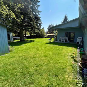 yard work by NasyAngels Landscaping LLC reviewed on August 15, 2025