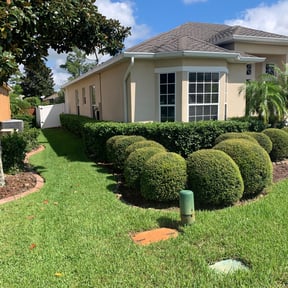 Bush Trimming by JMG Lawn Care reviewed on August 17, 2025