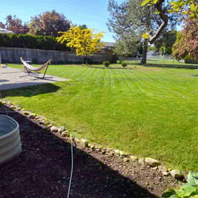 yard service by Sunny Carolina lawncare services llc reviewed on December 3, 2021