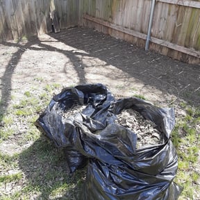 Leaf Removal by Hyde reviewed on September 7, 2025