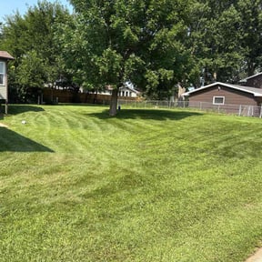 yard care by KNIGHTS PROPERTY MAINTENANCE AND REMODELING LLC reviewed on November 23, 2025