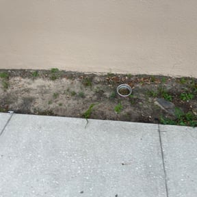 Leaf Removal by Armored Fence Of Albany reviewed on September 8, 2025