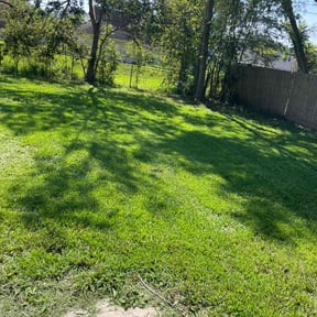 yard work by real lawn service reviewed on August 19, 2025