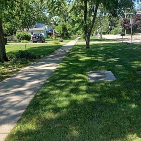 lawn care by YARD TRANSFORMERS reviewed on August 16, 2025