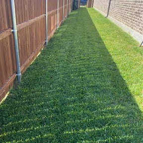 yard work by Greenxblades reviewed on February 17, 2026