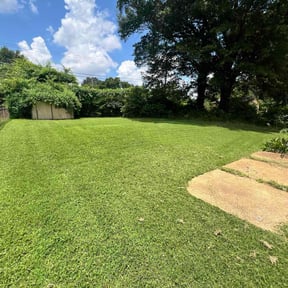 residential landscaping by R & C Landscaping reviewed on August 18, 2025
