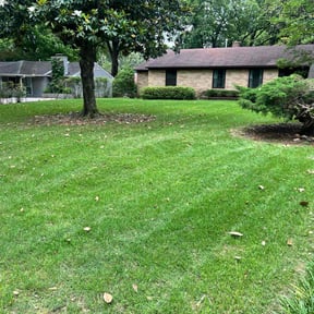 lawn care by Procutz Landscaping LLC reviewed on August 21, 2025