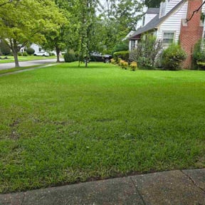 yard service by Aguilar Landscaping reviewed on August 17, 2025