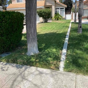 turf maintenance by J&K Affordable Service reviewed on November 23, 2023