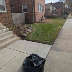 Leaf Removal by Peytella landscaping reviewed on November 24, 2025
