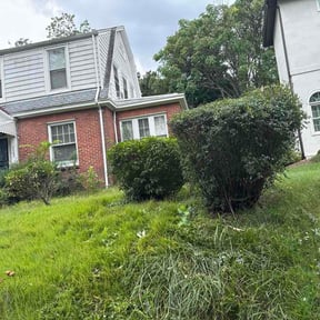 Bush Trimming by A-PRO Landscaping Service reviewed on August 3, 2026
