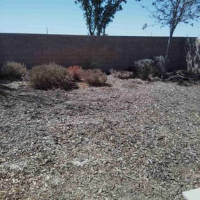 Leaf Removal by Js Lawn Care reviewed on October 2, 2025