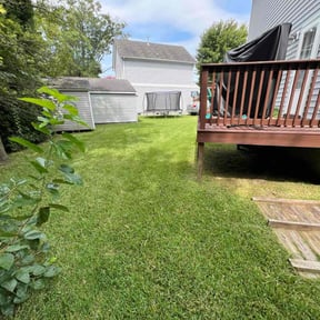 yard work by LISKO LAWNCARE AND TRASH REMOVAL LLC reviewed on August 15, 2025