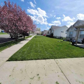 grass cutting by Jose Martinez landscape services reviewed on August 17, 2025