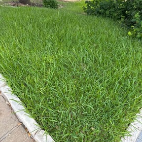 yard maintenance by Ken's  Lawncare reviewed on August 16, 2025