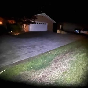 Bush Trimming by Aio services reviewed on August 15, 2025