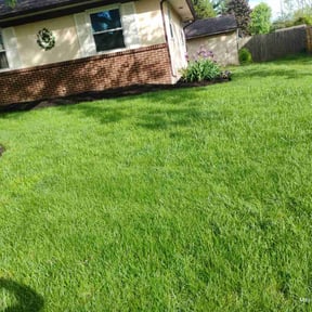 Mulching by CM Landscape reviewed on August 15, 2025