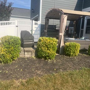 Bush Trimming by Fresh Cut Grounds reviewed on November 7, 2025