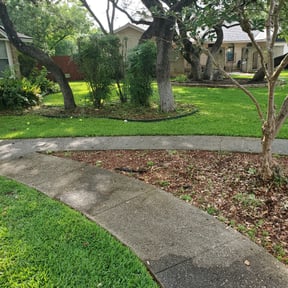 Bush Trimming by Payless Concrete LLC reviewed on August 21, 2025