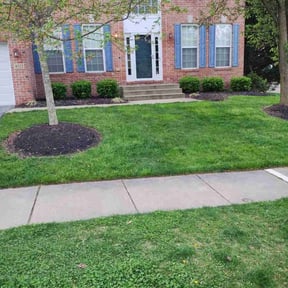 Long Grass Cleanup by Pure Lawn Care reviewed on September 21, 2025