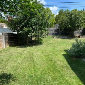 landscaping by Grateful Green Lawn Care reviewed on August 16, 2025