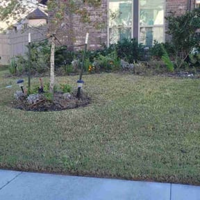 Flower Bed Weeding by Daniel's lawn care service LLC reviewed on November 23, 2025