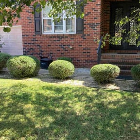Bush Trimming by Top Dawg Lawn reviewed on August 15, 2025
