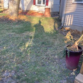 Leaf Removal by Bennett's Landscape reviewed on October 23, 2025