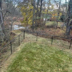 Leaf Removal by Msquikpro reviewed on November 18, 2025