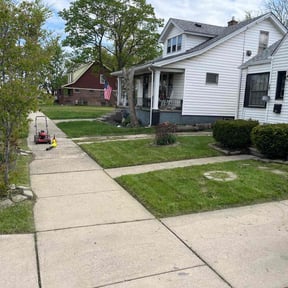 Long Grass Cleanup by Lonestar Lawn Care reviewed on August 17, 2025