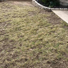 Leaf Removal by Genee Buckner reviewed on February 19, 2026