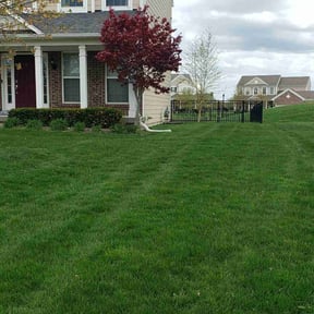 yard maintenance by Spare Time Hardscape reviewed on August 15, 2025