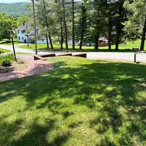 turf care by Excellence construction and maintenance reviewed on August 17, 2025