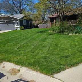 landscape maintenance by The lawn Service,LLC reviewed on November 20, 2025