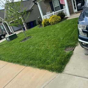 yard care by E.B. Lawncare  LLC reviewed on June 23, 2025