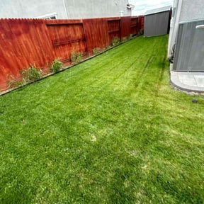 yard service by Juan Rodriguez reviewed on August 18, 2025